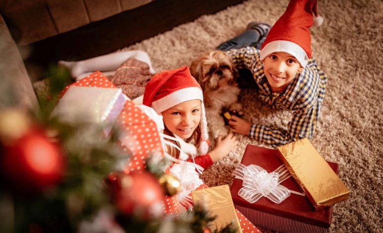 fotografia świąteczna Kraków
